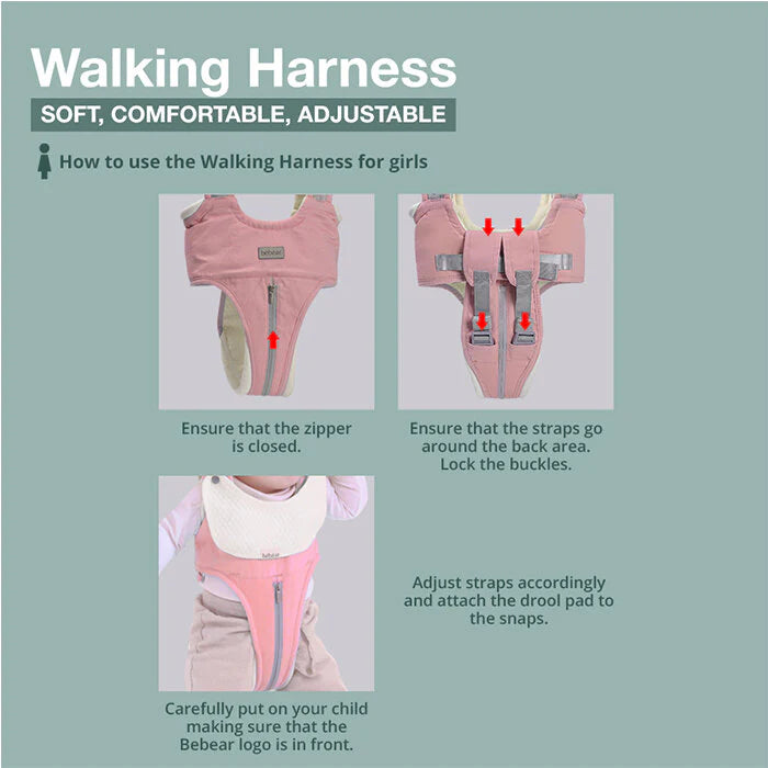 Bebear Walking Harness