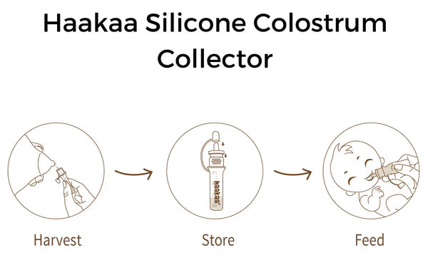 Haakaa Silicone Colostrum Collector Bundle of 6