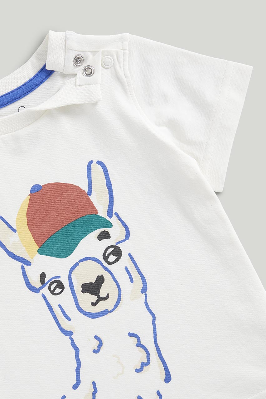 Llama T-Shirt and Shorts Set