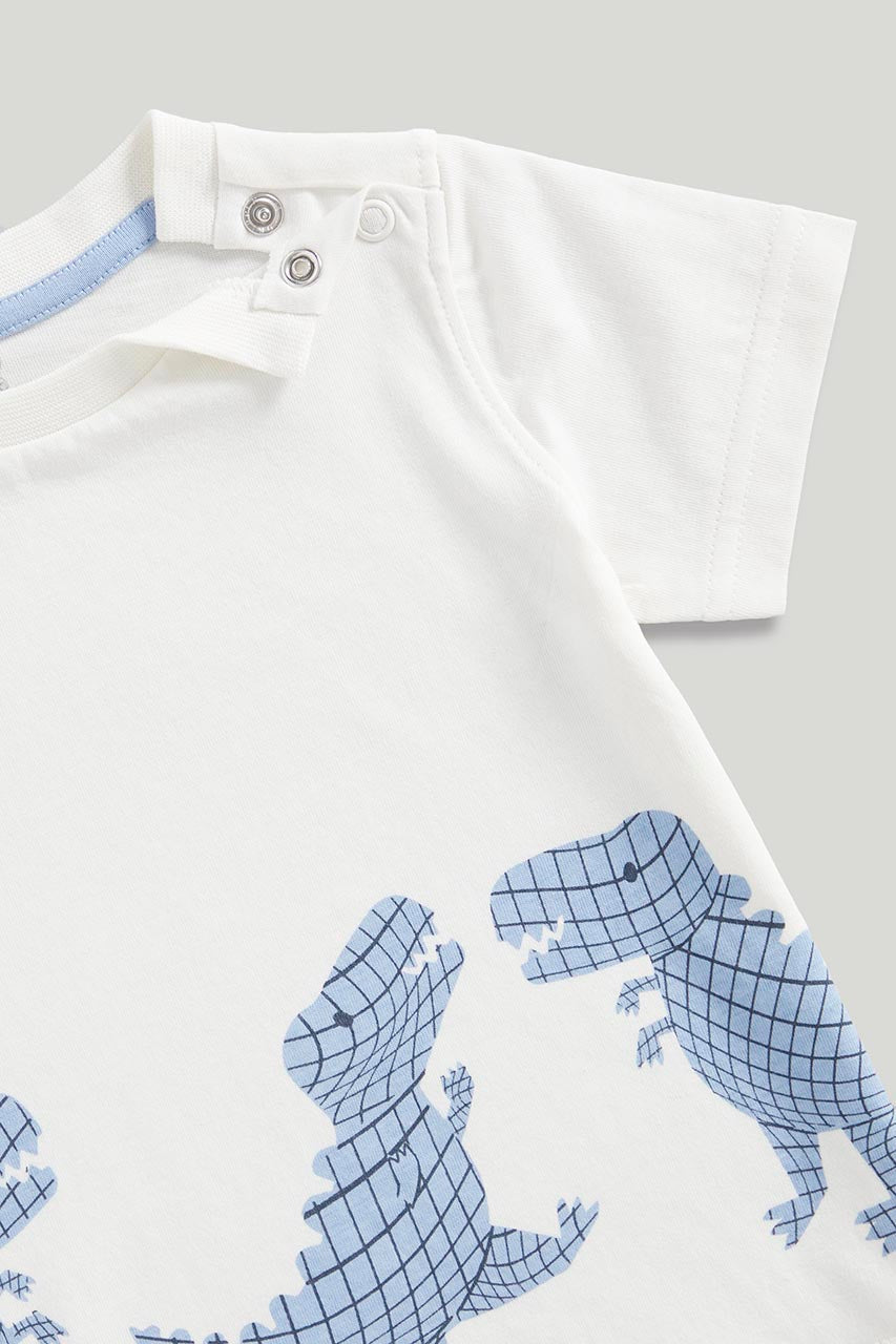 Dinosaur Shorts and T-Shirt Set