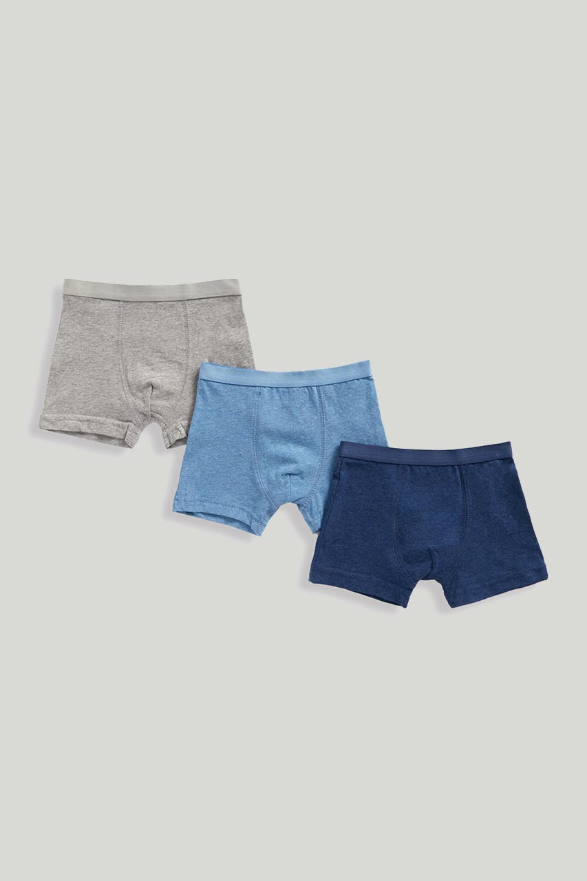 Blue Trunk Briefs - 3 Pack