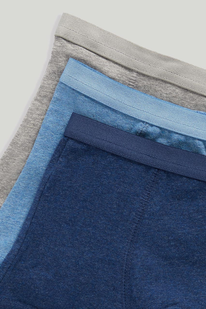 Blue Trunk Briefs - 3 Pack