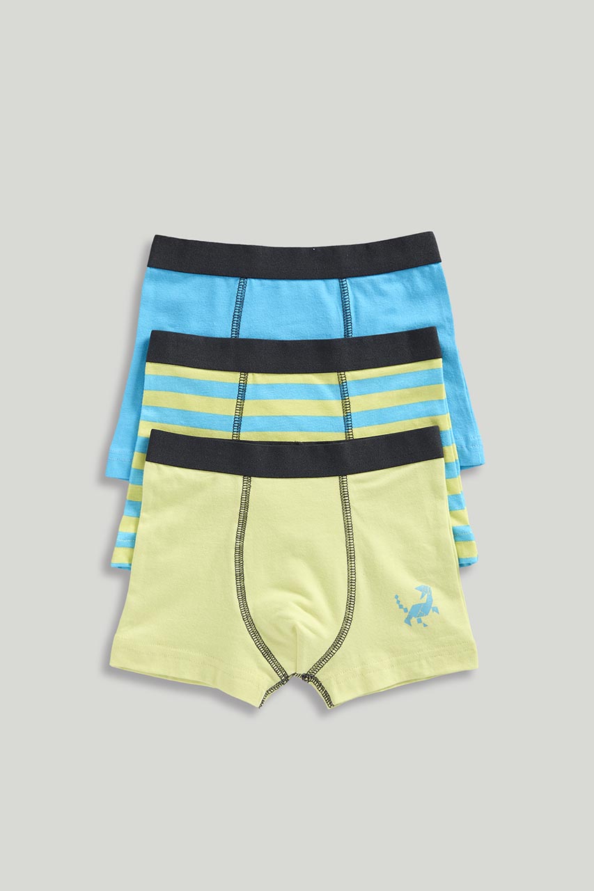 Dinosaur Trunk Briefs - 3 Pack