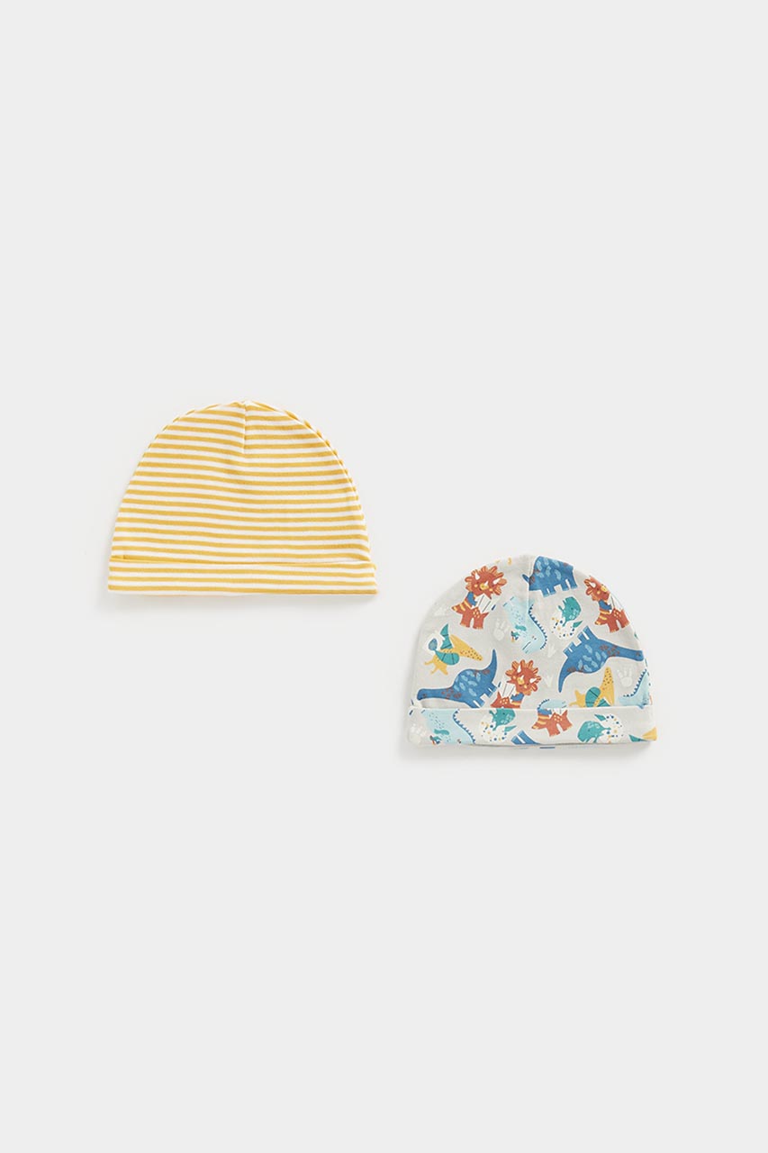 Dinosaur Baby Hats - 2 Pack